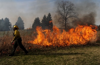 Buhr-Park-Wet-Meadow-Control Burn-2-MRM.jpg